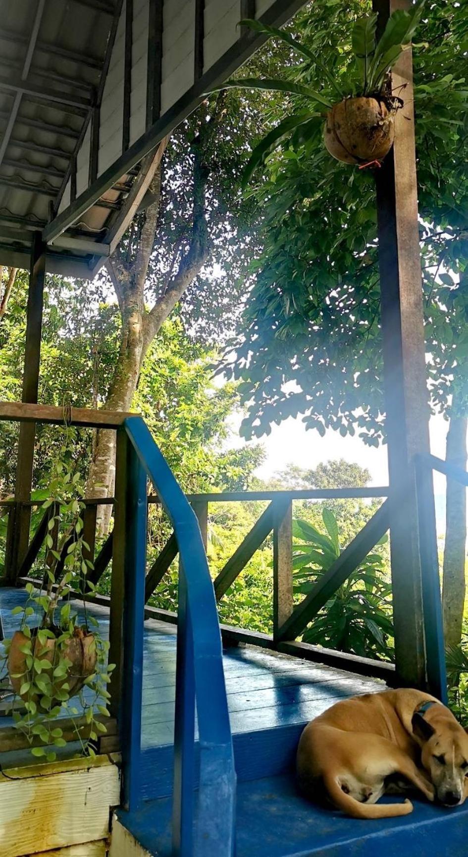 Rasta View Bangalows Koh Chang Eksteriør billede